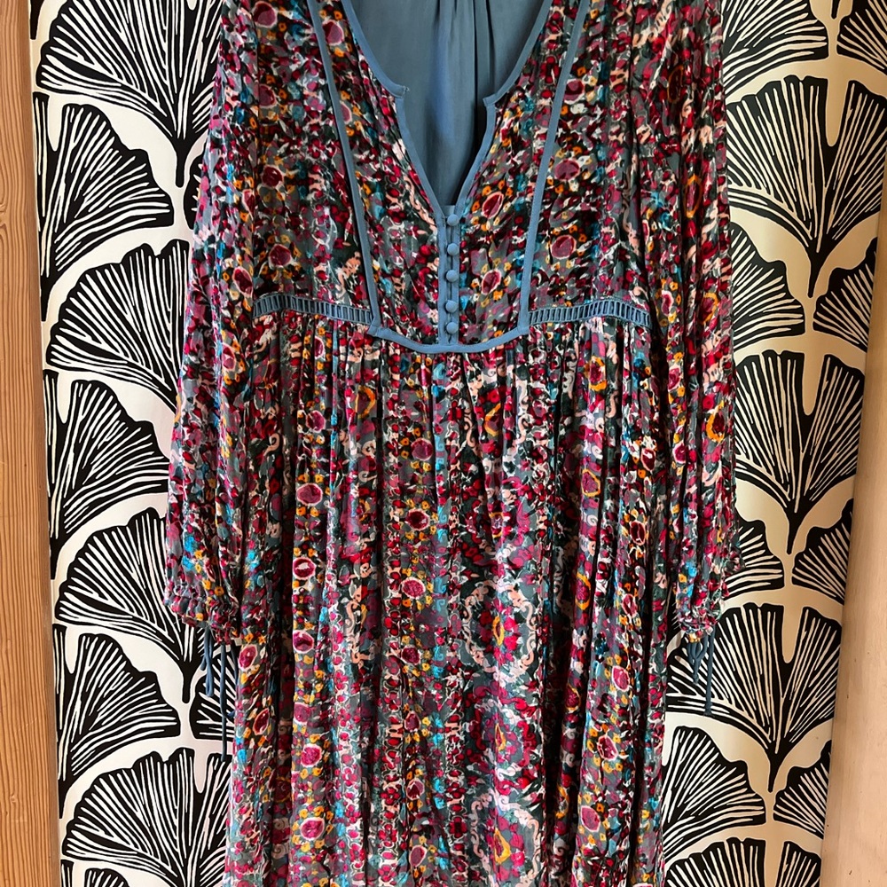 Anthropologie Floral Long Sleeve Velvet Dress